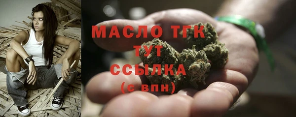 гашик Богородск