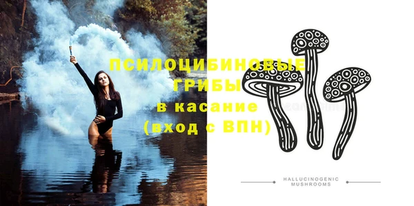 винт Богородицк