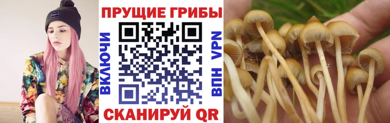Галлюциногенные грибы прущие грибы Уфа